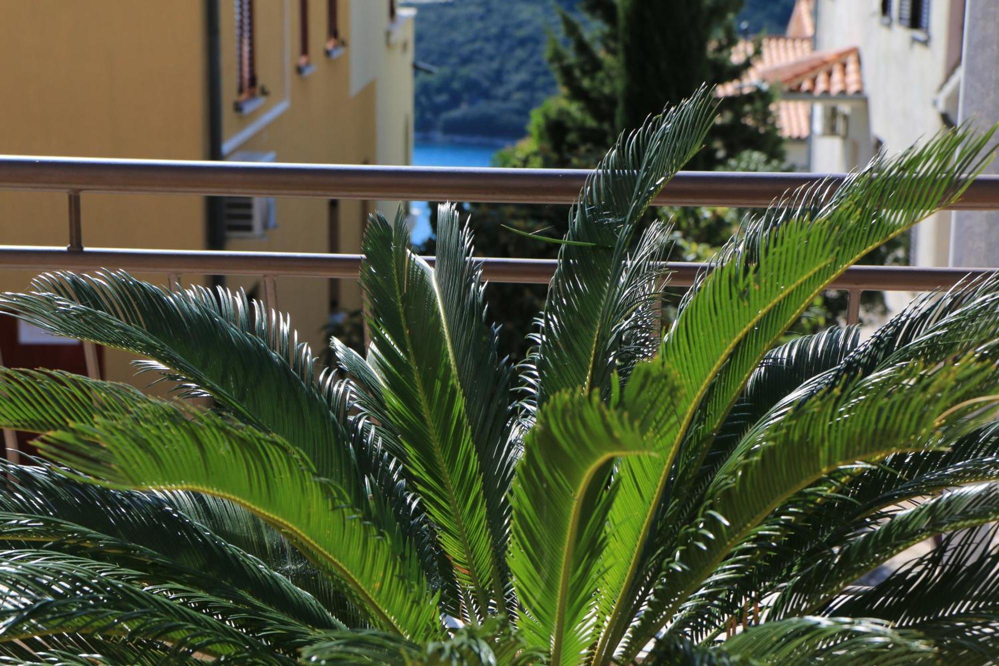 Apartments With A Parking Space Rabac, Labin - 7429 外观 照片